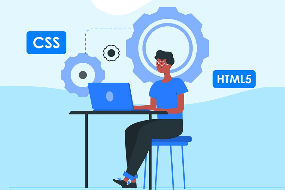 Lập trình viên web là gì?