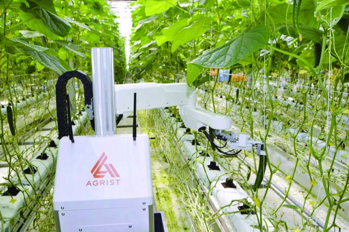 Ứng dụng AI trong nông nghiệp