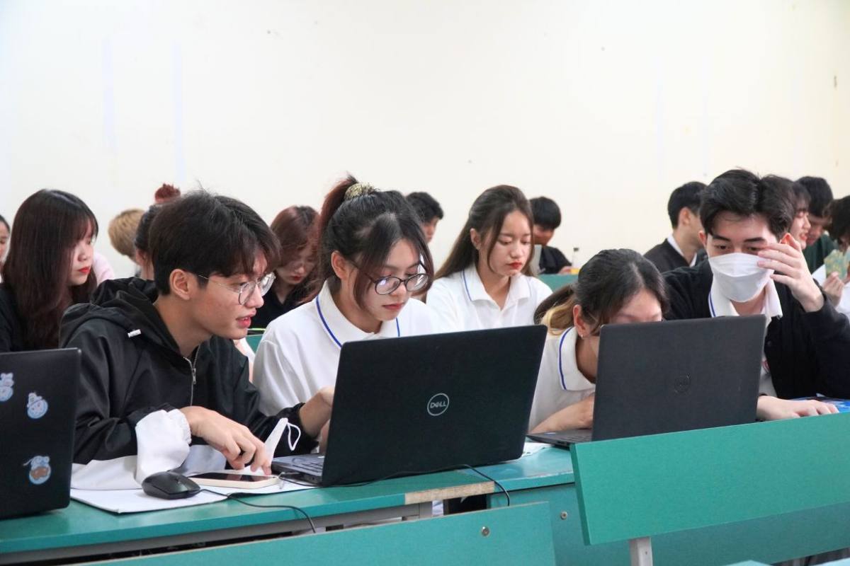 Lập trình viên thì học ngành gì?